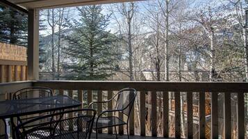 Apartamento, varias camas, patio, vistas a la montaña (Sun Valley Condo 115) | Vistas desde la habitación