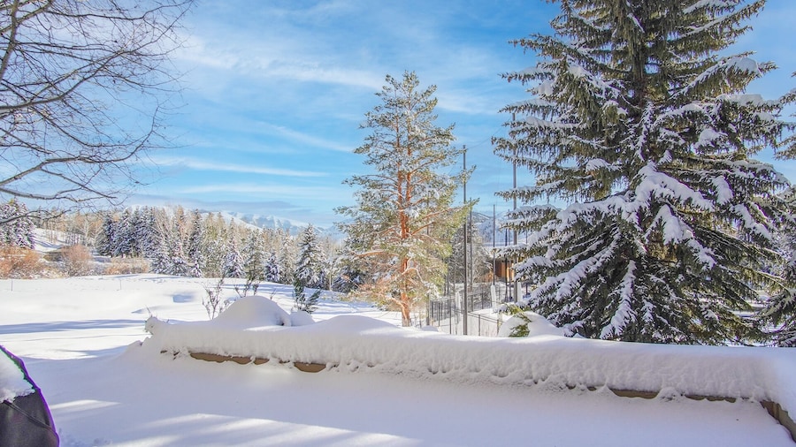 Bonne Vie Condo With Elkhorn Amenity Passes!