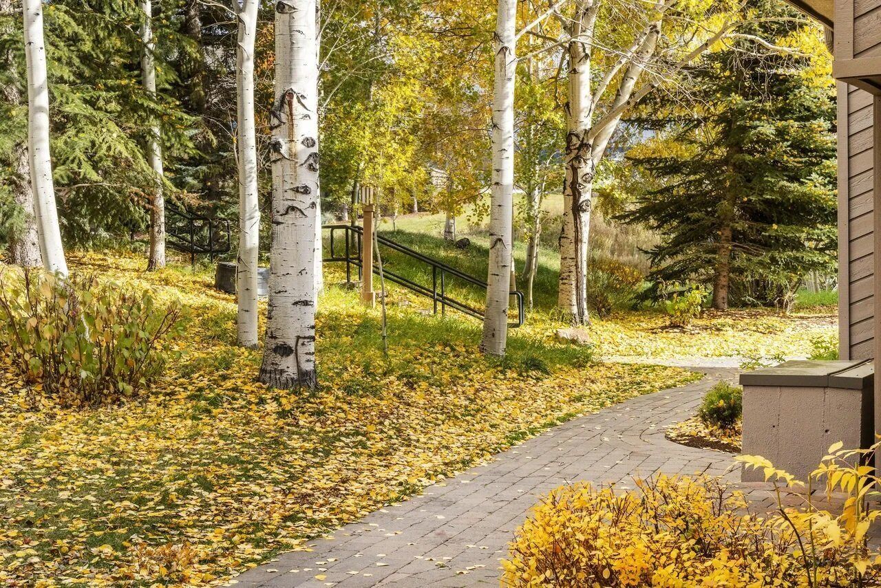 Un sentier bordé d’arbres aux feuilles jaunes, un banc en bois et un petit bâtiment.