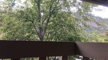 Condo, 2 Queen Beds, Balcony, Mountain View (Sun Valley Condo 102) | View from room