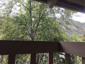 콘도, 퀸사이즈침대 2개, 발코니, 산 전망 (Sun Valley Condo 102) | 객실에서 보이는 전망