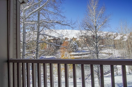Vista desde la habitación