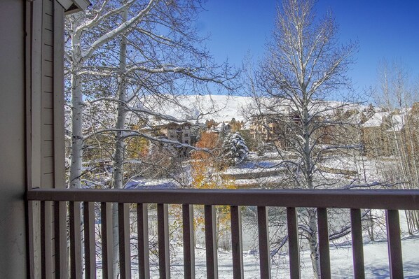 Condo, Multiple Beds, Patio, Mountain View (Bonne Vie 2247) | View from room