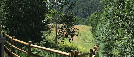 Condo, varias camas, chimenea, vista a la montaña (Sun Valley Condo 121) | Vista desde la habitación