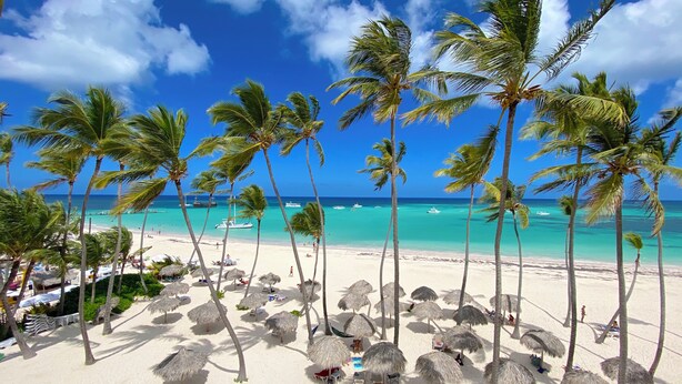 Una playa con palmeras, sombrillas de paja y un cielo azul despejado.
