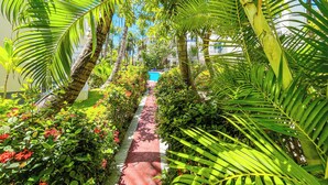 Un sendero bordeado de abundante vegetación y plantas con flores, que conduce a una zona de piscina.