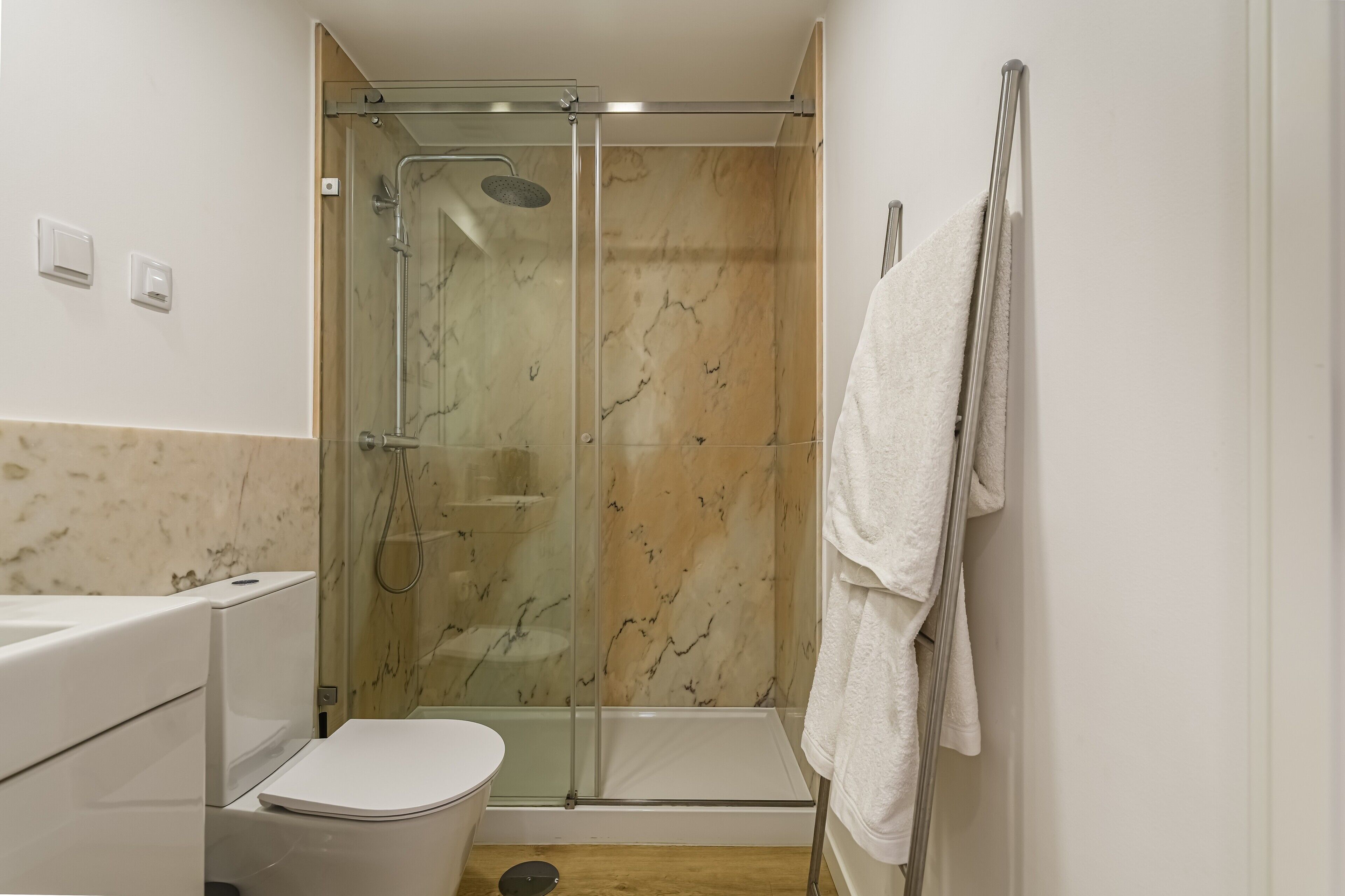 Shower, hair dryer, towels