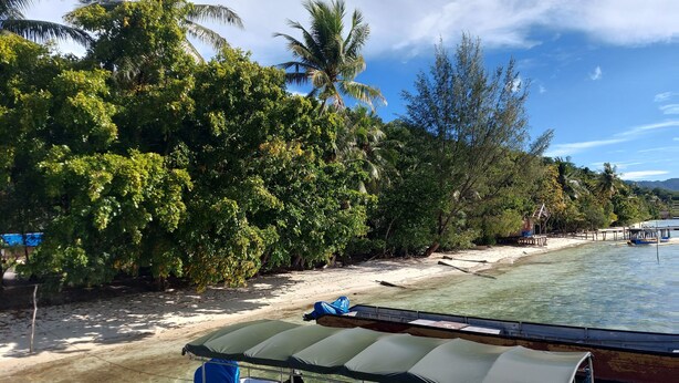 Un bateau sur une étendue d’eau claire et peu profonde, avec une plage de sable et une végétation tropicale dense sur la rive.
