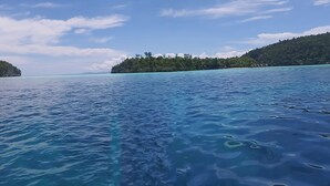 Une mer calme aux eaux d’un bleu limpide et, au loin, une petite île couverte d’une végétation luxuriante.