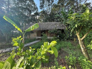 Family Room, Garden View