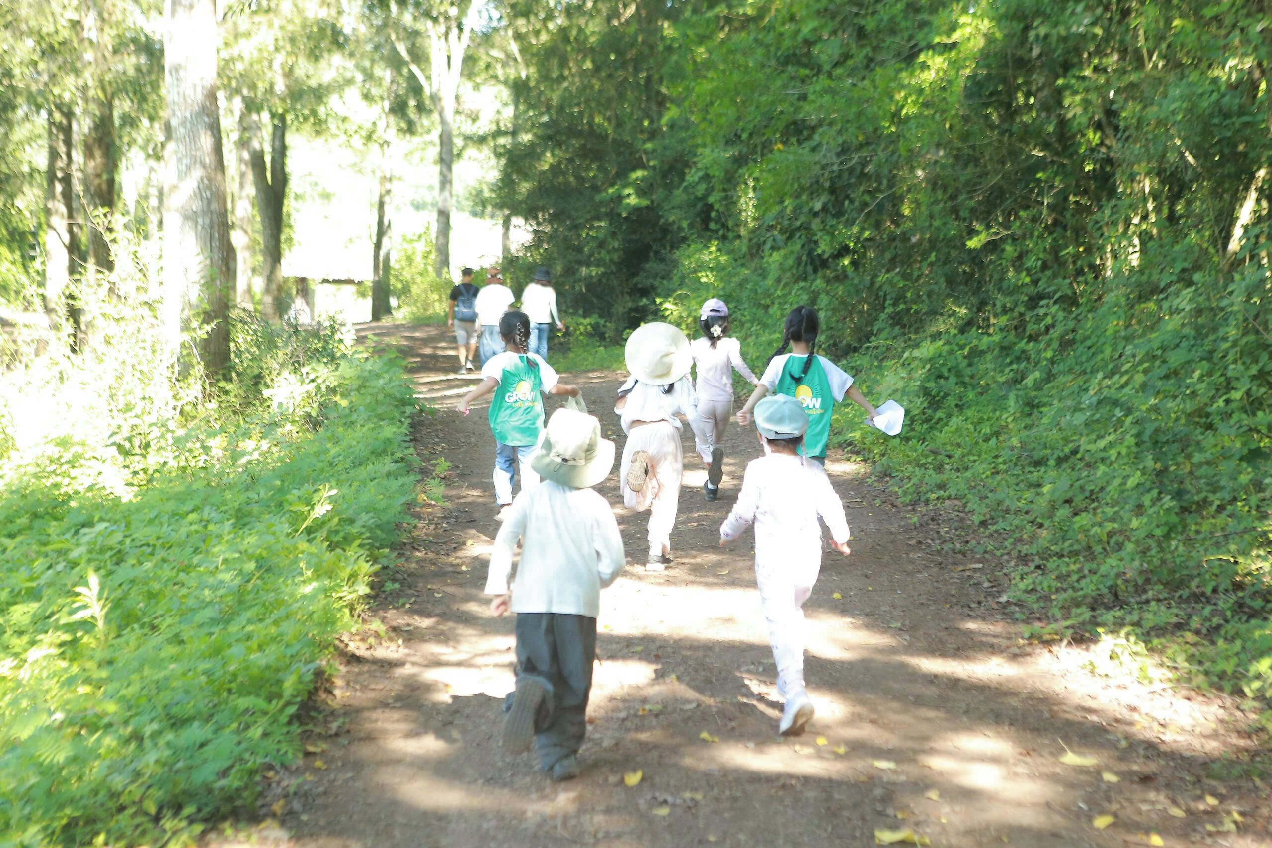 A group of people walking on a dirt path surrounded by trees.