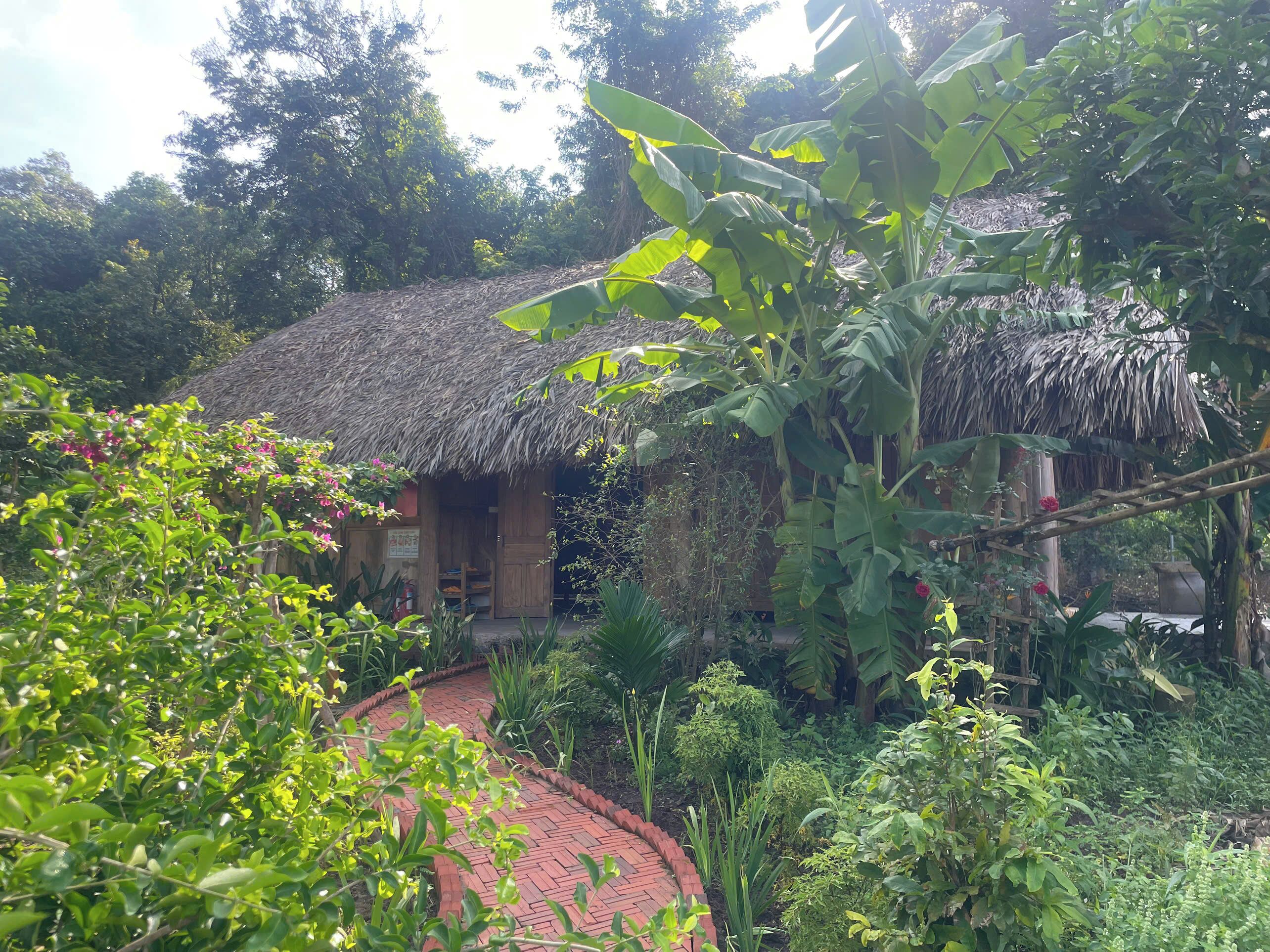 A rustic thatched-roof house surrounded by lush greenery and a brick pathway.