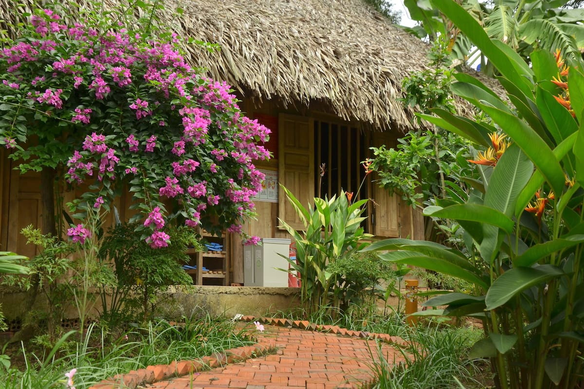 واي فاي مجانًا