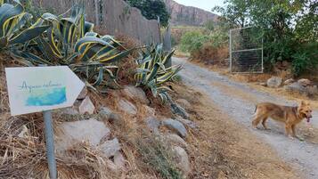 Área da propriedade