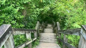 Enceinte de l’hébergement