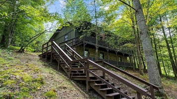 Eksteriør