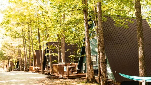 A row of cabins with wooden decks and a hammock, surrounded by tall trees. - Canoe Believe It Cabin | Indoor Jacuzzi Tub (Powell County)