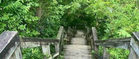 Natural Bridge Hike