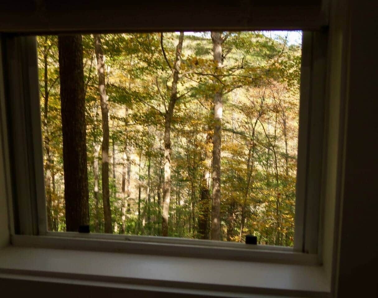 A window with a view of a forested area.