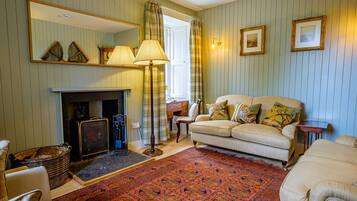 تلفزيون، مدفأة