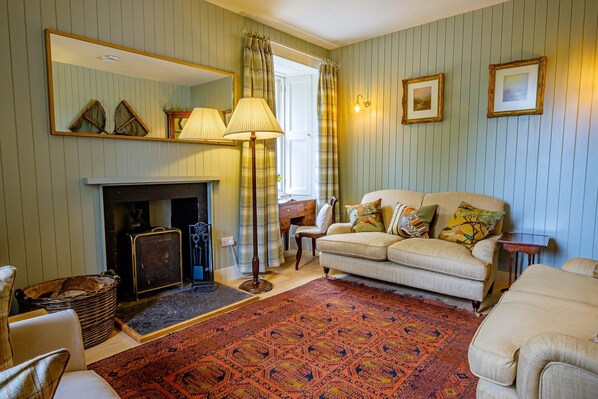 تلفزيون، مدفأة