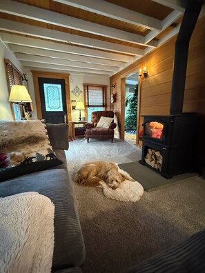 TV connectée, cheminée, livres, chaîne hi-fi