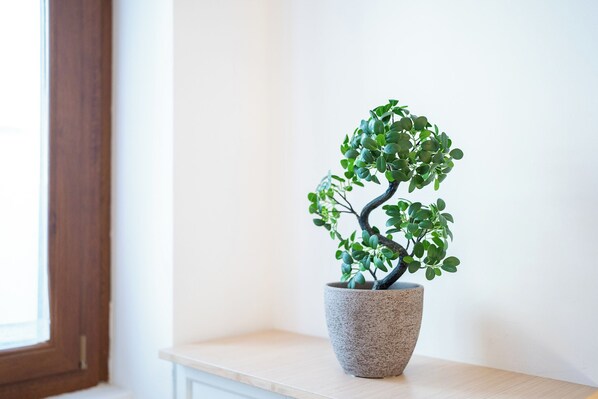 A potted plant on a wooden shelf against a white wall. - K-ROOMS - Central Station by InnStay (Milan)