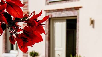 Majoituspaikan julkisivu