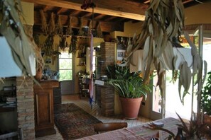 Interior - Apartment *down* (San Miniato)