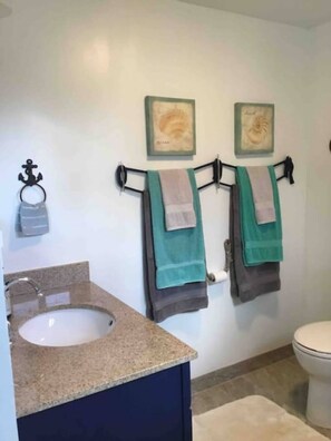 Hair dryer, towels, soap, toilet paper