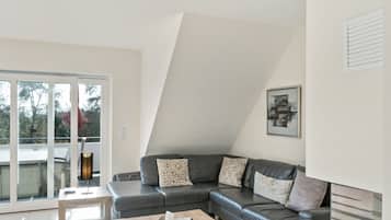 TV, fireplace, DVD player