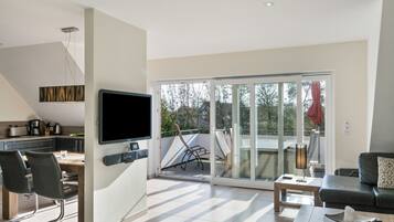 Televisión, chimenea y reproductor de DVD