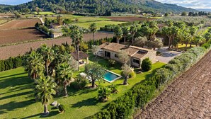 A villa with a swimming pool, surrounded by lush greenery and palm trees, with a mountain in the background. - Can Segue by Balearic Villas (Alcúdia)