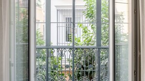 Blick durch ein Fenster mit Metallgitter und viel Grün draußen.