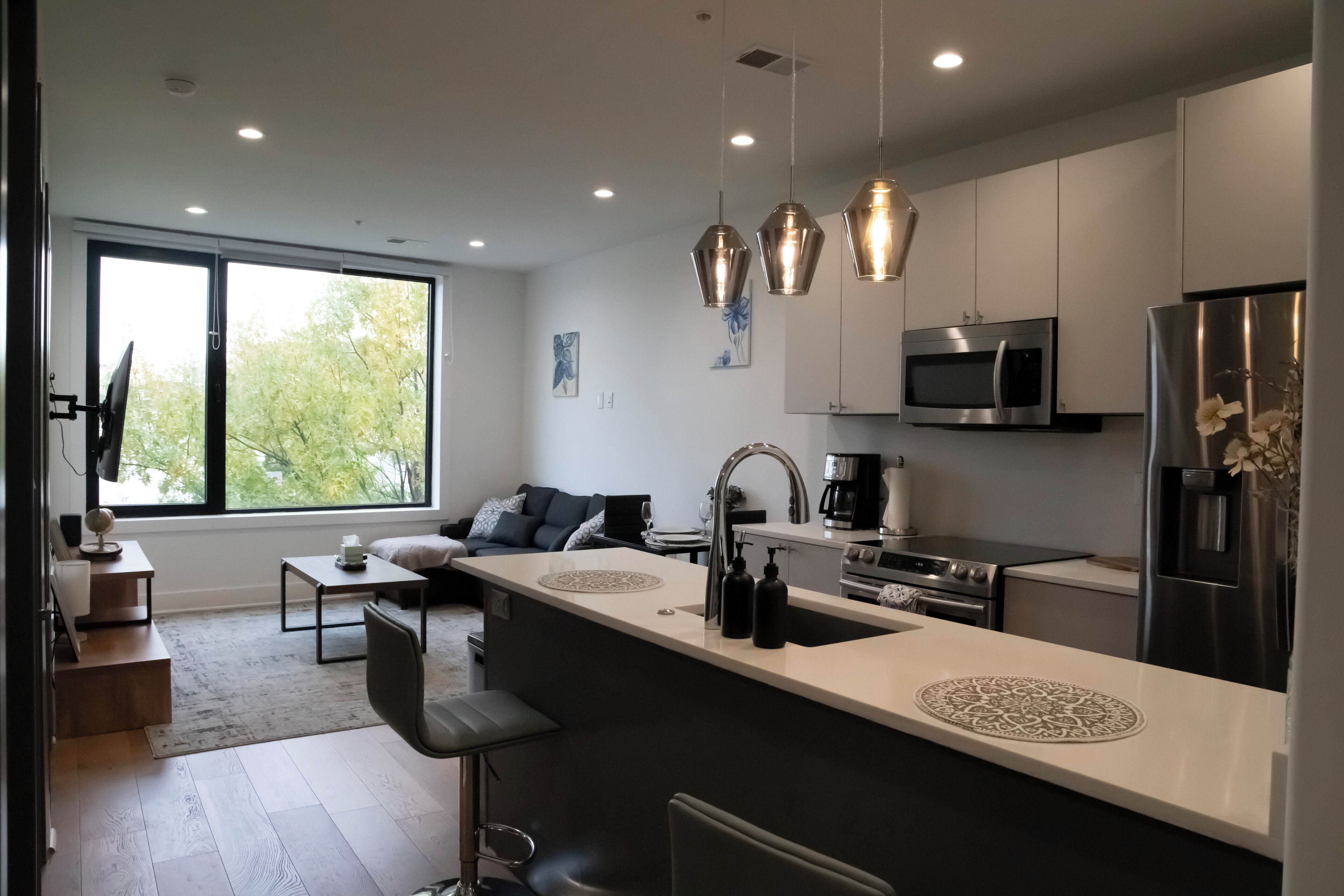 Fridge, oven, stovetop, dishwasher