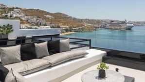 Une terrasse sur le toit, avec un canapé, une petite table agrémentée d’une plante, et une vue sur un navire de croisière amarré dans un port.