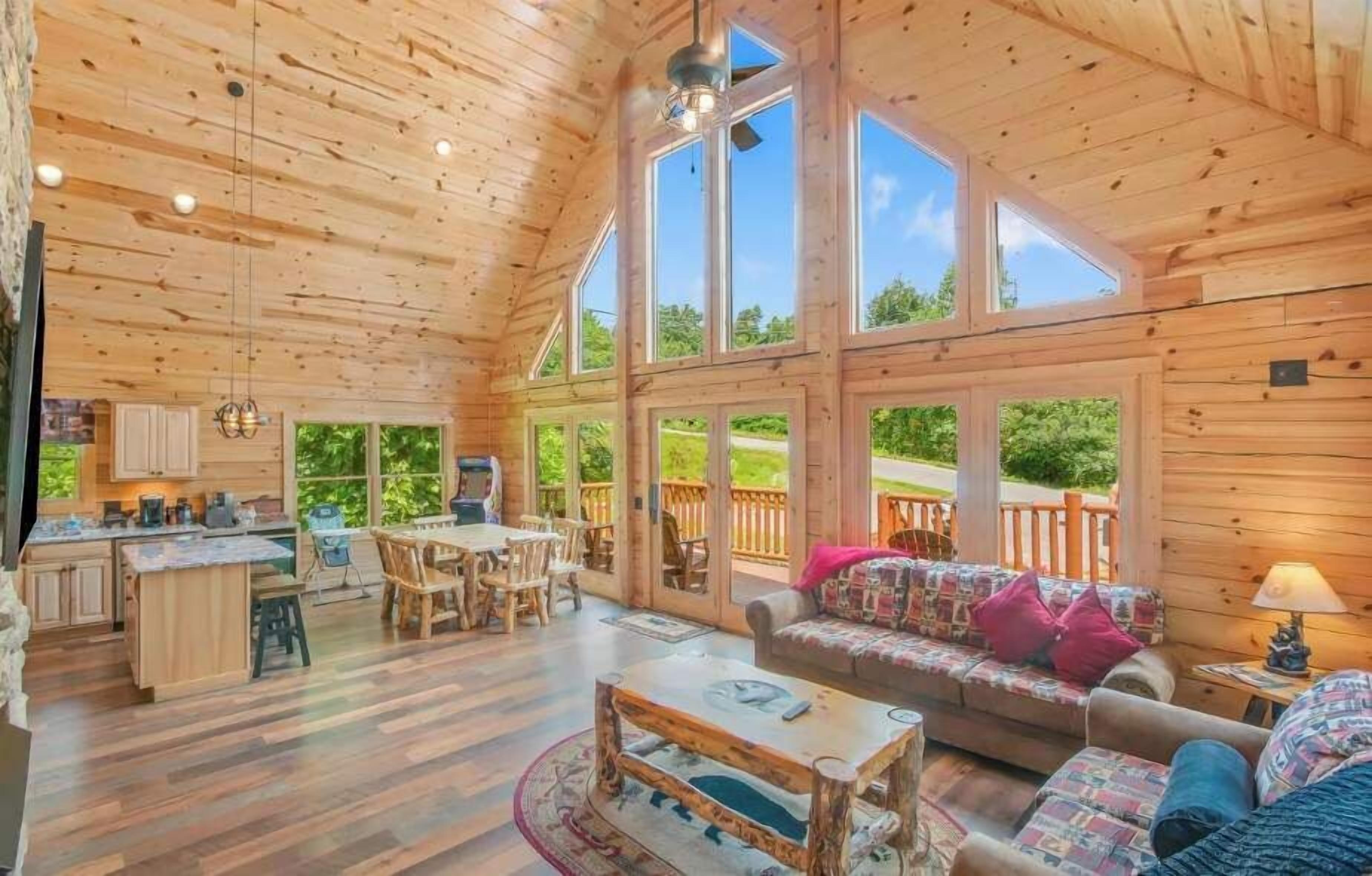 TV, fireplace, video games, books