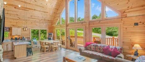 TV, fireplace, video games, books