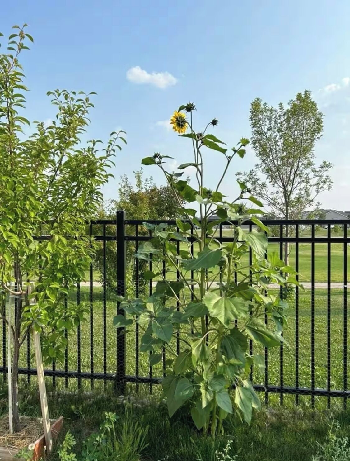 Enceinte de l’hébergement