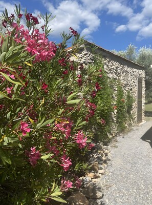 Detalle del exterior