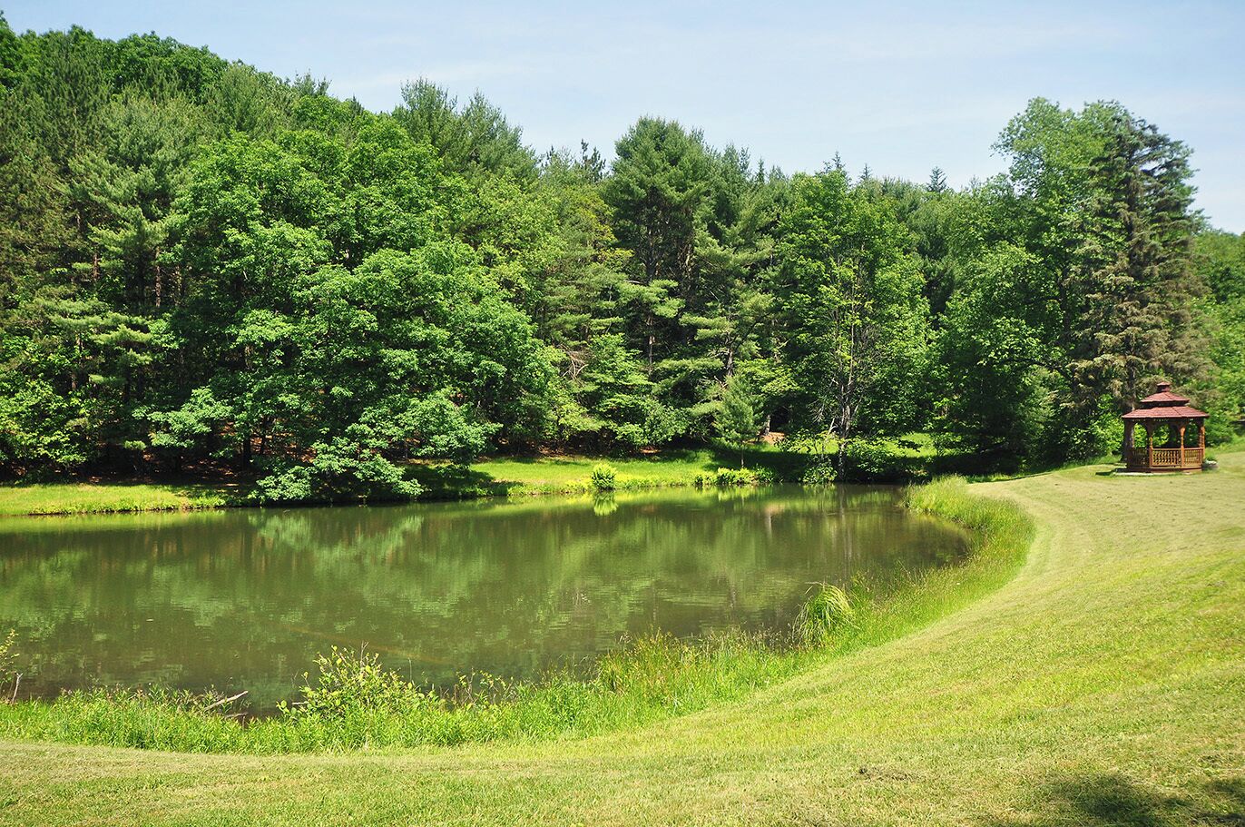 A serene pond surrounded by lush greenery and a gazebo.