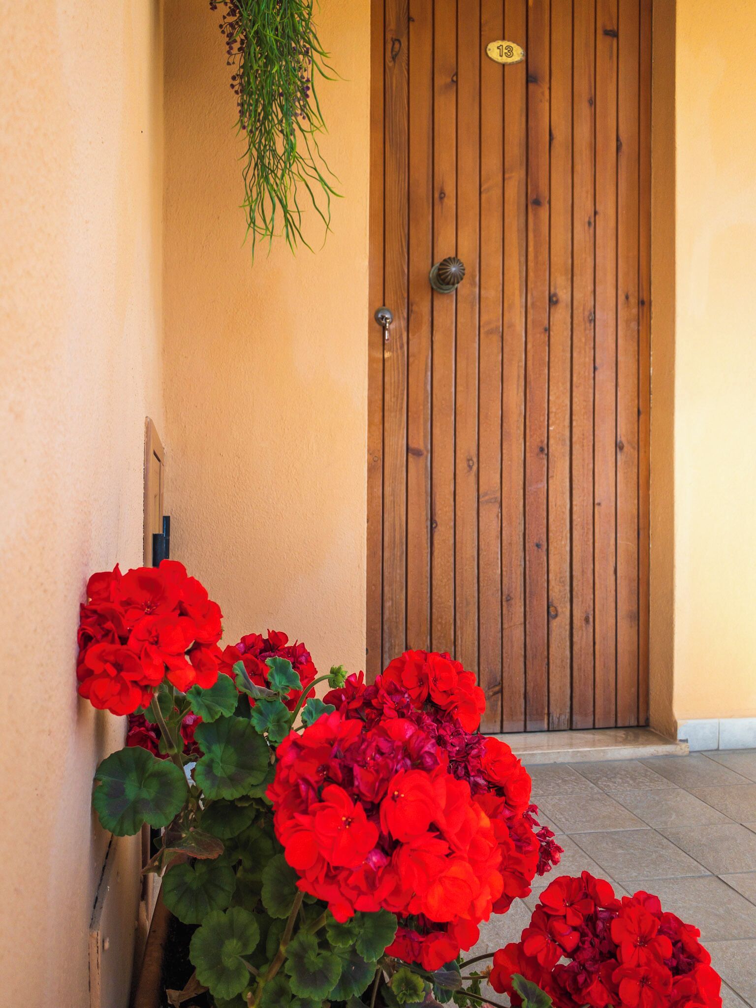 A wooden door with a number plate, a potted plant with red flowers, and a beige wall.