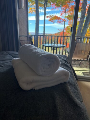 Cozy pet-friendly Bellaire condo with free Beach Club access. Conveniently located near Torch Lake, premier golf courses, skiing, restaurants, and local attractions.