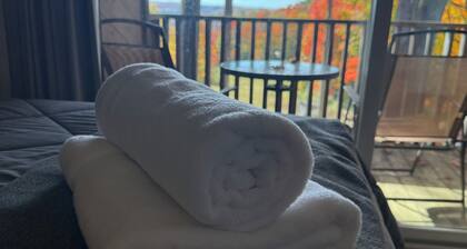 Cozy pet-friendly Bellaire condo with free Beach Club access. Conveniently located near Torch Lake, premier golf courses, skiing, restaurants, and local attractions.