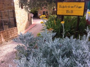 Terrein van de accommodatie