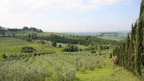 A panoramic view of a hilly landscape with fields and trees.