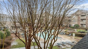 Pool - Cozy 1-BR apartment with a seasonal pool! (Charlotte)