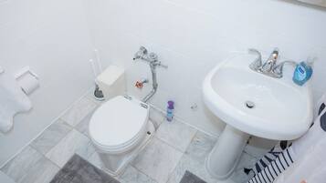 Hair dryer, towels, soap, toilet paper