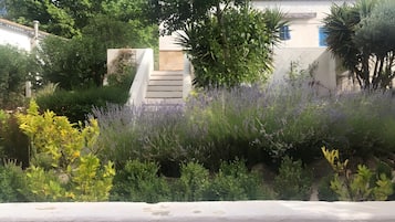 Jardines del alojamiento