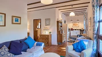 Televisie, een open haard, een dvd-speler en een stereo